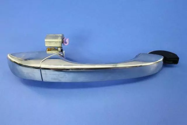 1NA53LAUAF - Body: Handle, Outside for Dodge: Grand Caravan Image