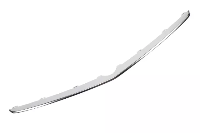 Center Molding - GM (13372324)