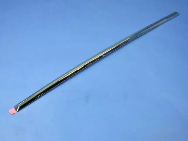 5160269AC - Body: Side Molding for Dodge: Caliber Image
