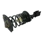 810216 - : 00-03 Chevrolet Impala Suspension Strut and Coil Spring Assembly  - Rear Right for GSP Image