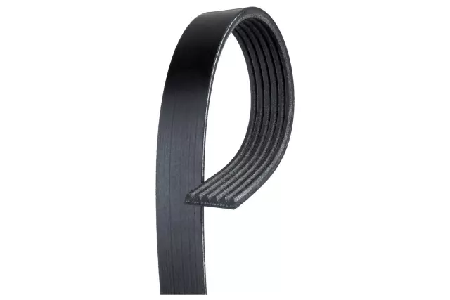 98035628 - : V-Ribbed Serpentine Belt for GM Image