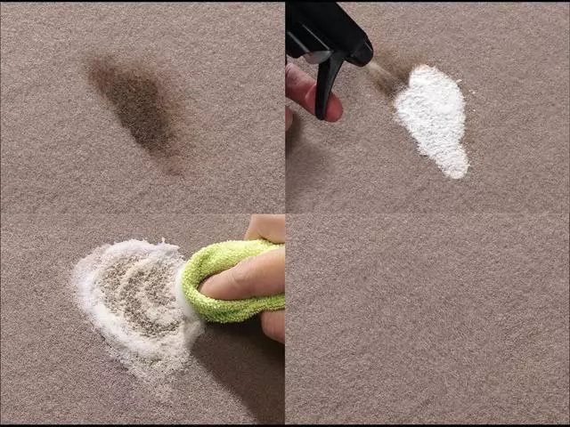 96301LDSP - : Cleaner for Volkswagen Image