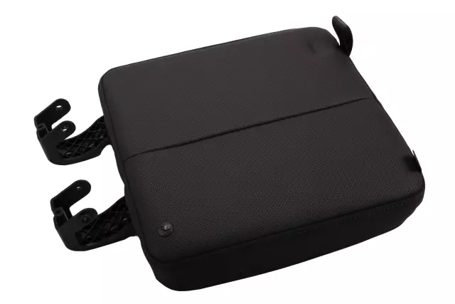 Rear Driver Side Seat Back Compartment Door - GM (84823983)