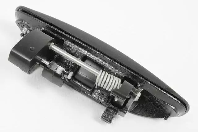 Exterior Door Handle, Right - Mopar (1MZ80LXTAG)