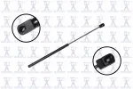 84678 - : Back Glass Lift Support for Focus Auto Parts Image