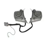 255501FA4A - : Cruise Control Switch for Nissan Image