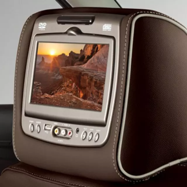 Headrest and Video Screen Assembly - GM (84247095)