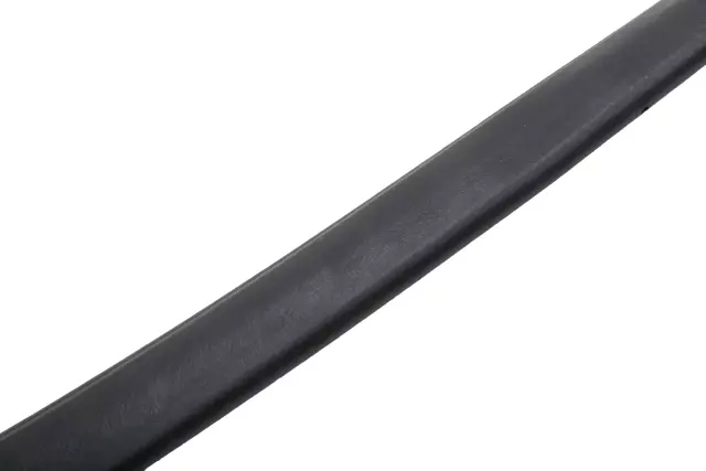 Passenger Side Door Window Belt Weatherstrip - GM (84184297)