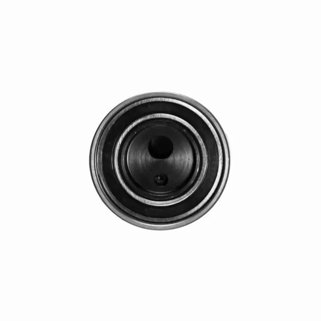 ZT95124 - : INA US Engine Timing Belt Tensioner for INA US Image