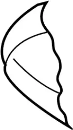 873614HA0A - : Seat Cushion Pad for INFINITI: Q50 Image