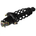 869216 - : 05-09 Scion tC Suspension Strut and Coil Spring Assembly  - Rear Right for GSP Image
