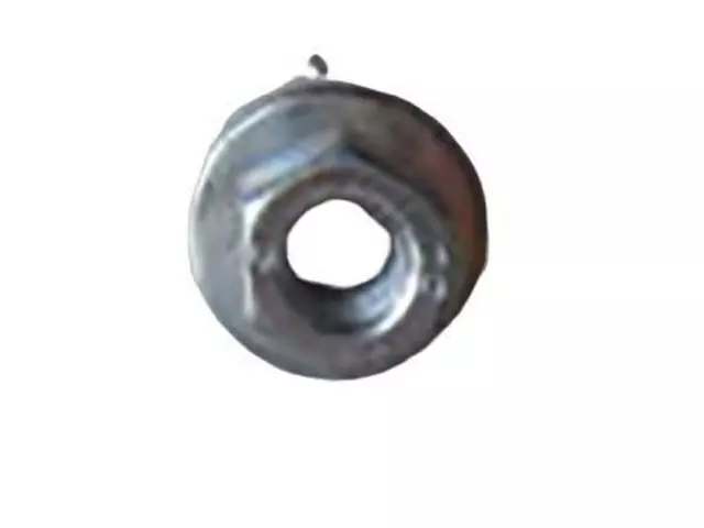 N621939S301 - : Nut Adjusting Screw for Ford Image