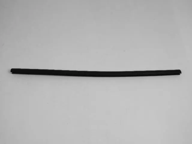 B Pillar Secondary Weatherstrip - Mopar (55360780AA)