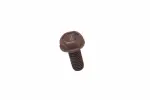 90007936 - : F (S)Bolt for GM Image