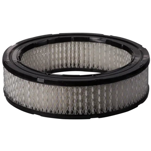 PA4 - : Premium Guard Engine Air Filter for PRONTO Image
