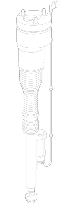 2223202000 - : Air Spring Strut for Mercedes-Benz Image