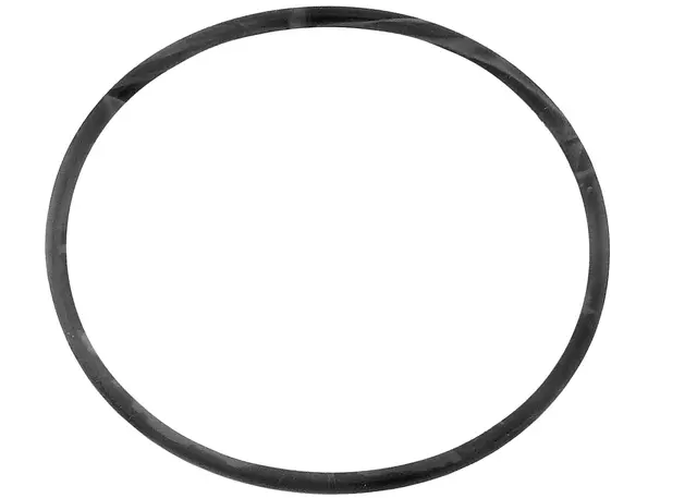 251625 - Cooling System: ACDelcoâ„¢ Water Pump Assembly Seal for Cadillac: Catera, CTS | Saturn: L300, LS2, LW2, LW300, Vue Image image