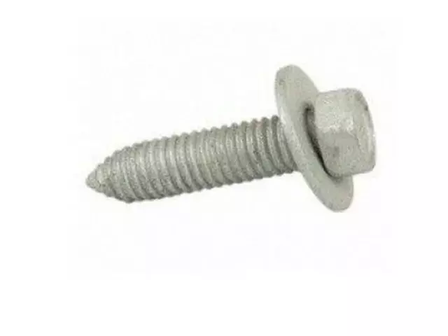 Roof Molding Screw - Ford (W717140-S439)