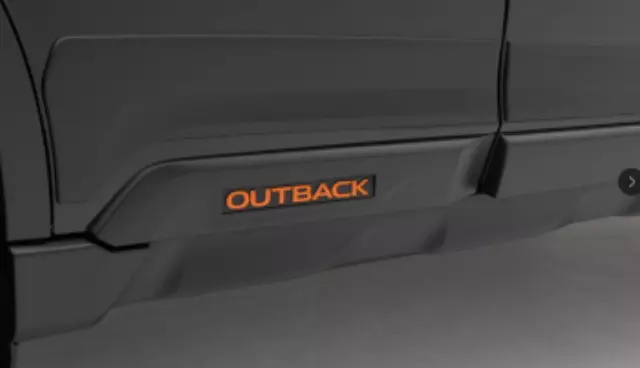 J101SAN901 - Other: Door Cladding for Subaru: Outback Image