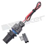 21091056 - : Walker Products 210-91056 Air Charge Temperature Sensor - Full Service Kit for Walker Products Inc. - Image