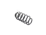 68540194AA - Rear Suspension: Rear Coil Spring for Mopar Image