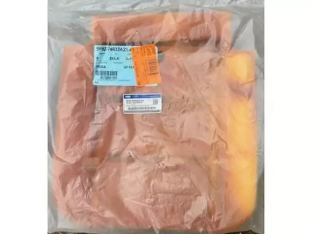 5F9Z74632A23AA - Body: Seat Cushion Pad for Ford: Taurus, Taurus X | Mercury: Montego, Sable Image