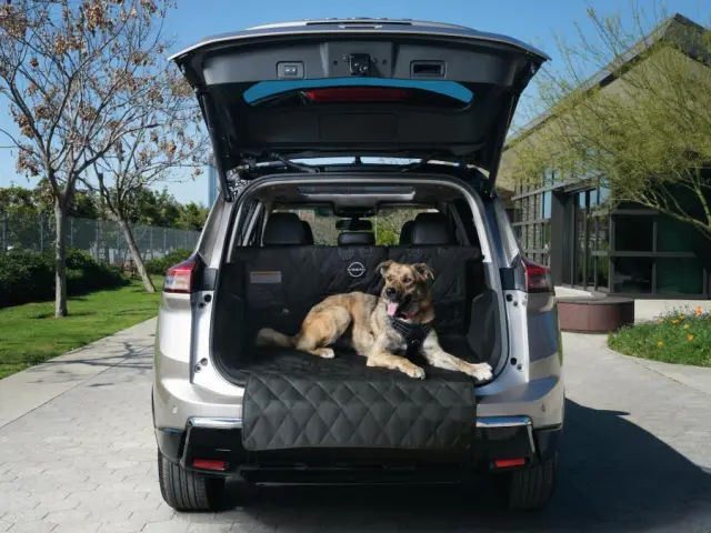 T99C36MA0P - : Pet Cargo Area Protector for Nissan Image