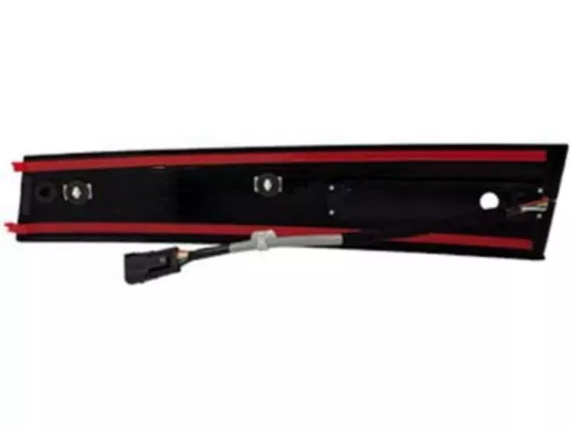 Molding Door Outside - Ford (DB5Z-7820555-AD)