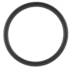 W703015S300 - : Seal for Ford Image