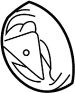 926605Y700 - HVAC: Clutch Pulley for Infiniti Image