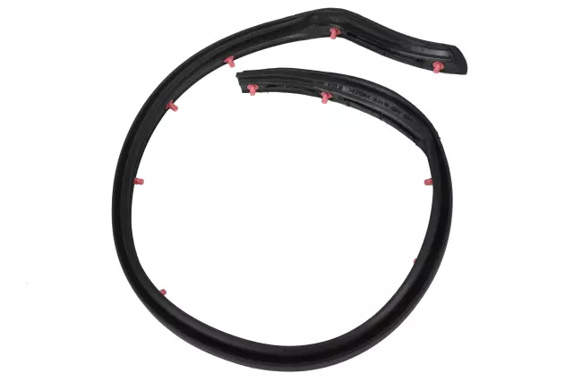 26679893 - Body: Rear Weather-strip for GM Image