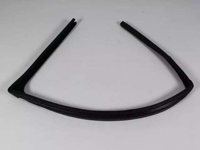 Front Door Glass Run Weatherstrip, Left - Mopar (05074215AD)