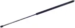 610043 - : Hood Lift Support for Tuff Support Image