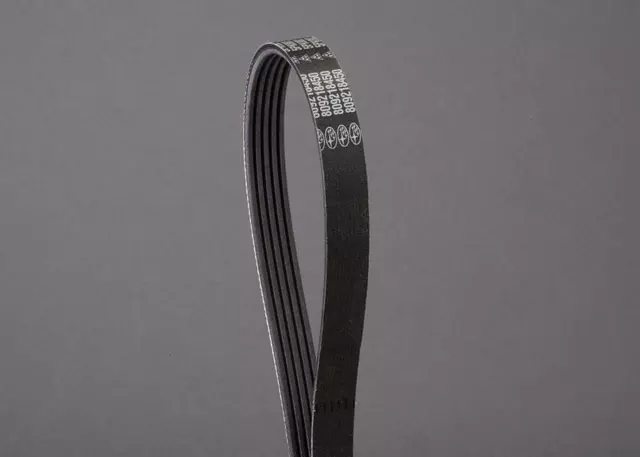 Alternator Belt - Subaru (809218450)