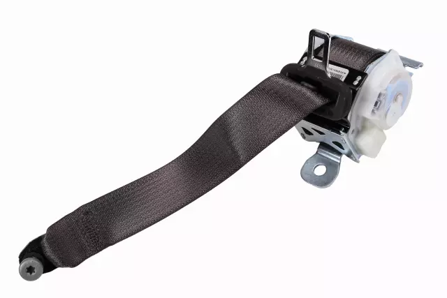 19301305 - : 2014 2015 Buick LaCrosse - Outer Belt Assembly for Buick: LaCrosse, Regal Image