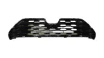 531120R410 - : Grille Radiator Lw for Toyota Image