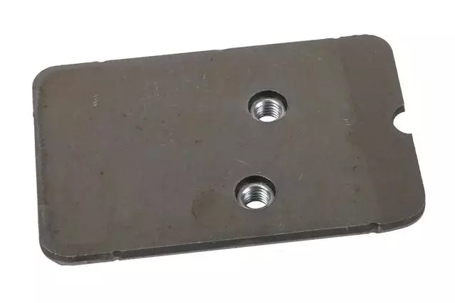 Driver Side Door Lower Hinge Anchor Plate - GM (15785420)