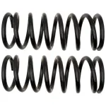 81121 - : Coil Spring Set for Moog Image