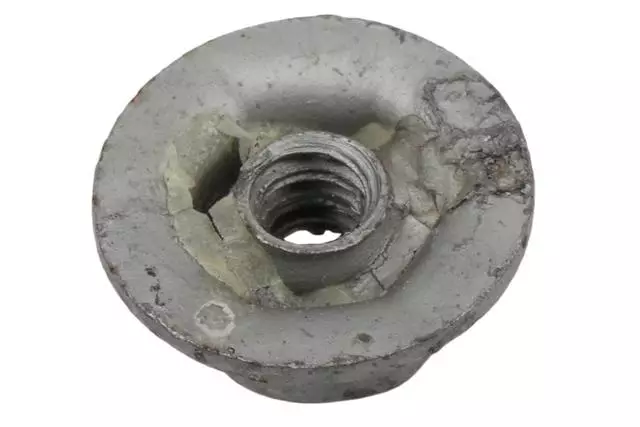 F (S)Nut - GM (11570664)