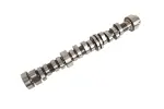 19432226 - Engine: Camshaft for GM Image