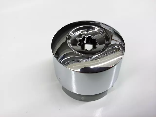 Wheel Bolt Cap - Volkswagen (7L6-601-173-A-2ZZ)