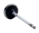 V4402 - : Engine Intake Valve for Enginetech Image