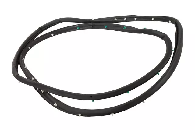 Passenger Side Rear Door Weatherstrip - GM (20954939)