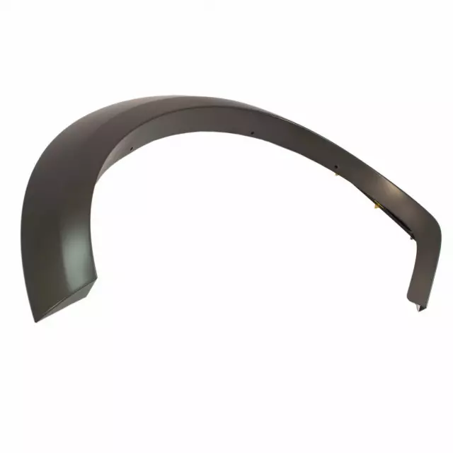 AL3Z16039AAPTM - : Molding for Ford Image