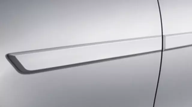 Door Molding - Toyota (PT938-42130-29)