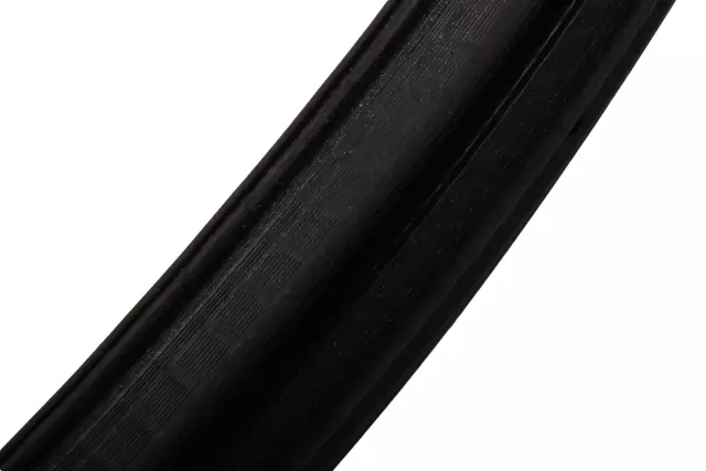 Rear Side Door Weatherstrip - GM (20993868)