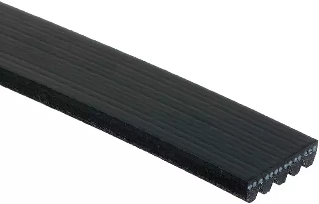 5K836 - : Standard V-Ribbed Serpentine Belt for ACDelco Image