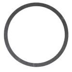 DG9Z7H367FC - : Shim - Roller Bearing for Ford Image