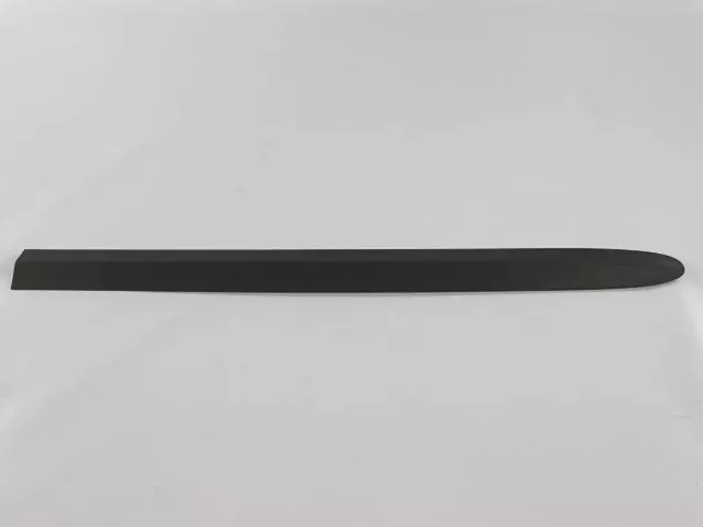 SU99HS5AA - Body: Upper Molding for Chrysler: Voyager | Dodge: Caravan Image