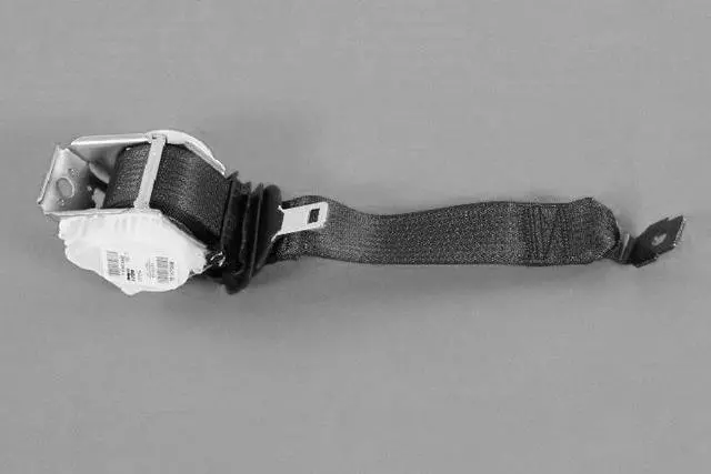 2nd Row Seat Belt And Retractor, Center - Mopar (1SV68DX9AC)